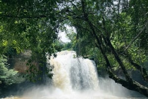 Bangkok: Tour Privado en Coche Chárter por la Naturaleza y la Fauna de Khao Yai