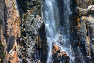 Bangkok: Tour Privado en Coche Chárter por la Naturaleza y la Fauna de Khao Yai