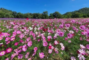 Bangkok: Tour Privado en Coche Chárter por la Naturaleza y la Fauna de Khao Yai
