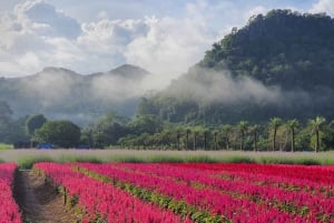 Khao Yai: Private Custom Tour with Driver From Bangkok