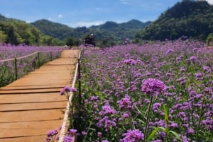 Khao Yai: Private Custom Tour with Driver From Bangkok