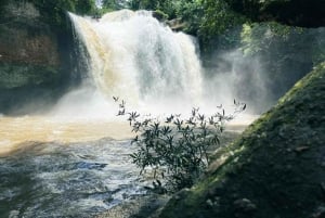 Khao Yai: Private Custom Tour with Driver From Bangkok