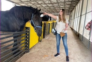 Excursión a los viñedos de Khao Yai y visita a una granja de caballos
