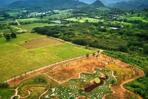 Wycieczka degustacyjna winnicy Khao Yai i wizyta w stadninie koni