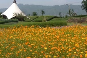 Wycieczka degustacyjna winnicy Khao Yai i wizyta w stadninie koni