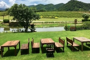 Wycieczka degustacyjna winnicy Khao Yai i wizyta w stadninie koni