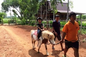 Wycieczka degustacyjna winnicy Khao Yai i wizyta w stadninie koni