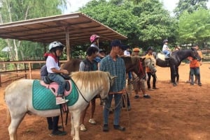 Wycieczka degustacyjna winnicy Khao Yai i wizyta w stadninie koni