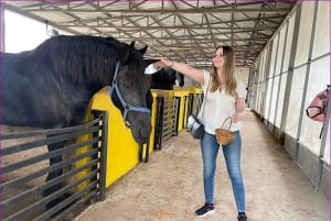 Wycieczka degustacyjna winnicy Khao Yai i wizyta w stadninie koni