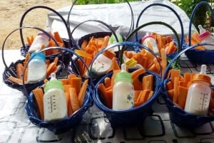 Wycieczka degustacyjna winnicy Khao Yai i wizyta w stadninie koni