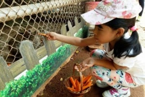 Wycieczka degustacyjna winnicy Khao Yai i wizyta w stadninie koni