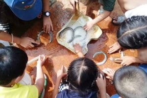 Wycieczka degustacyjna winnicy Khao Yai i wizyta w stadninie koni