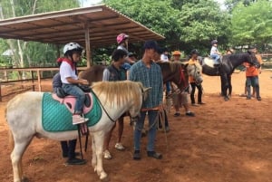 Khao Yai Vineyard Tasting Tour & Horse Farm Visit