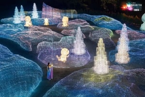 Light Festival at Na Satta Park: Magical Once-a-Year Moment