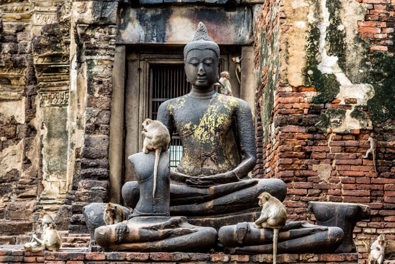 Lopburi Affentempel & Ayutthaya Altstadt (UNESCO) Tour