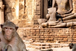 Excursión al Templo de los Monos de Lopburi y a la Ciudad Vieja de Ayutthaya (UNESCO)