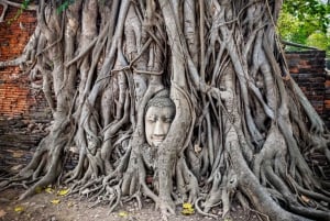 Lopburi Monkey Temple & Ayutthaya Old City (UNESCO) Tour