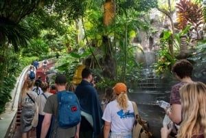 Mad Monkey Bangkok City Session - Rundgang Tour