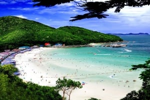 Pattaya & Coral Island 2-Day Private Tour From Bangkok