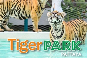 Pattaya Custom Tour Privat bilcharter fra Bangkok