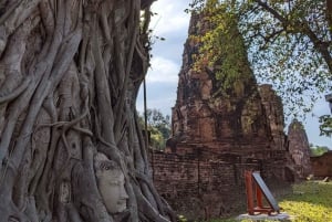 From Pattaya: Private Day Trip to Ayutthaya with Boat Tour