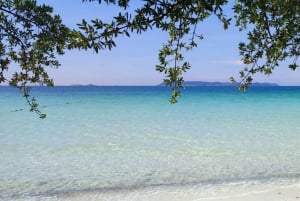 Pattaya Island Trip met dronefoto's en lunch, natuurstrand