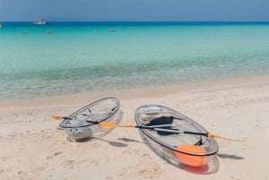 Pattaya Island Trip met dronefoto's en lunch, natuurstrand