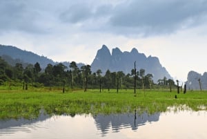 Phuket: Samet Nangshe & Khao Sok National Park Private Tour