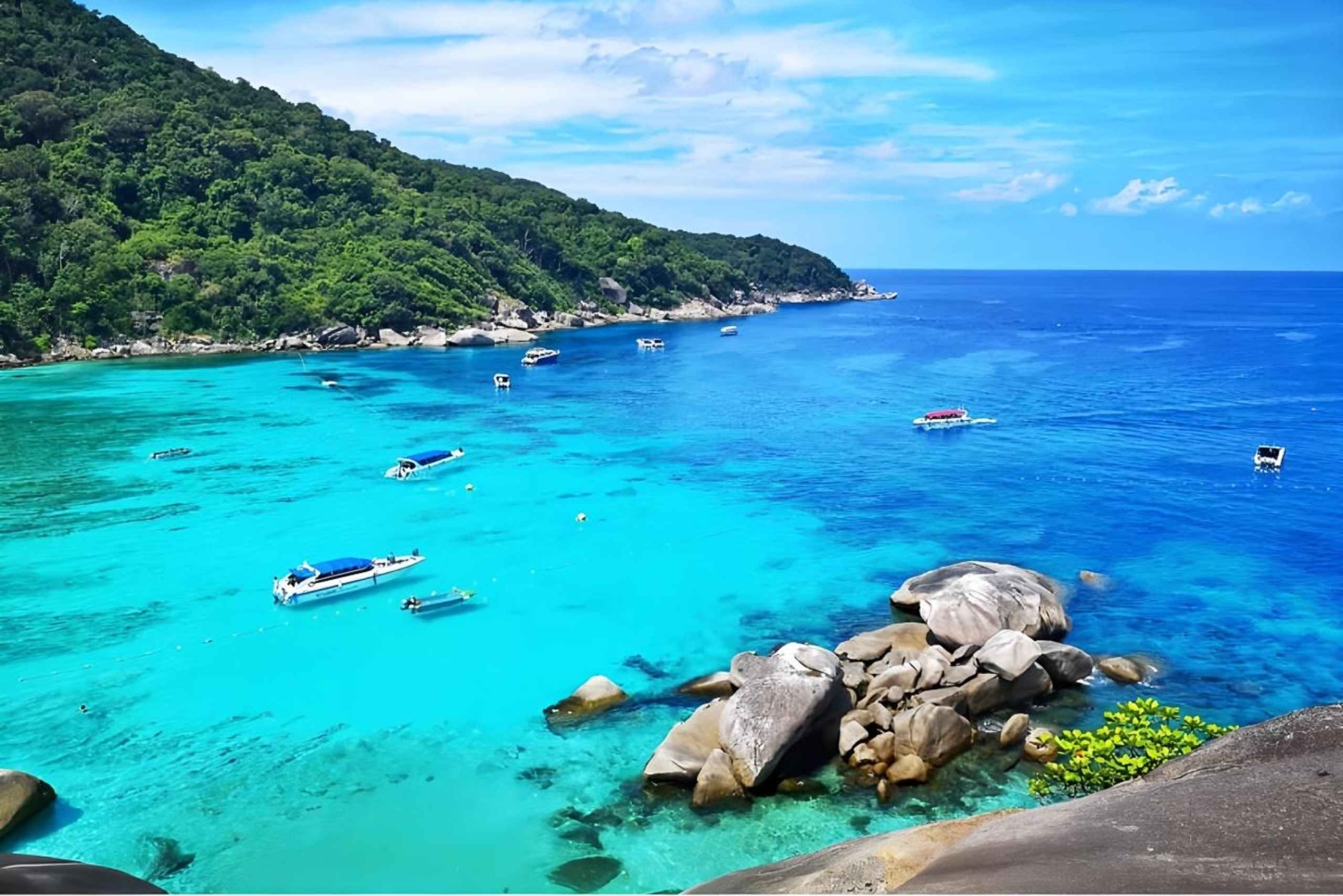 Phuket: Similansaarten snorklauspäiväkierros katamaraanilla
