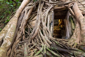 Privat: Damnoen Saduak flytande marknad, järnväg, Wat och mycket mer