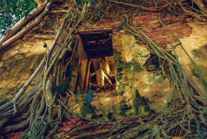 Privat: Damnoen Saduak flytande marknad, järnväg, Wat och mycket mer