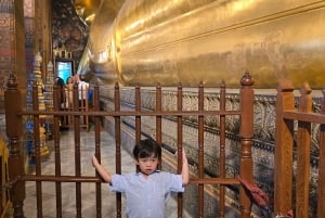 Guía privado con coche privado