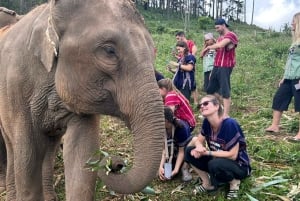 Guía privado con coche privado