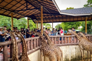 Traslado privado desde Bangkok y Hua-Hin | Tailandia