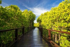 Trasferimento privato da Bangkok e Hua-Hin | Thailandia