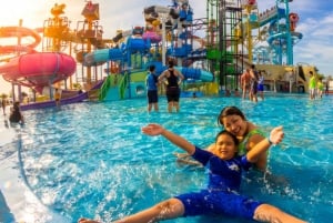 Private Transfer from Bangkok and Pattaya | Thailand