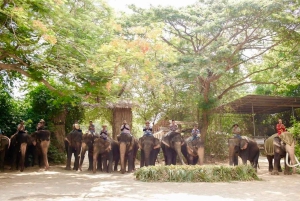 Private Transfer from Bangkok and Pattaya | Thailand