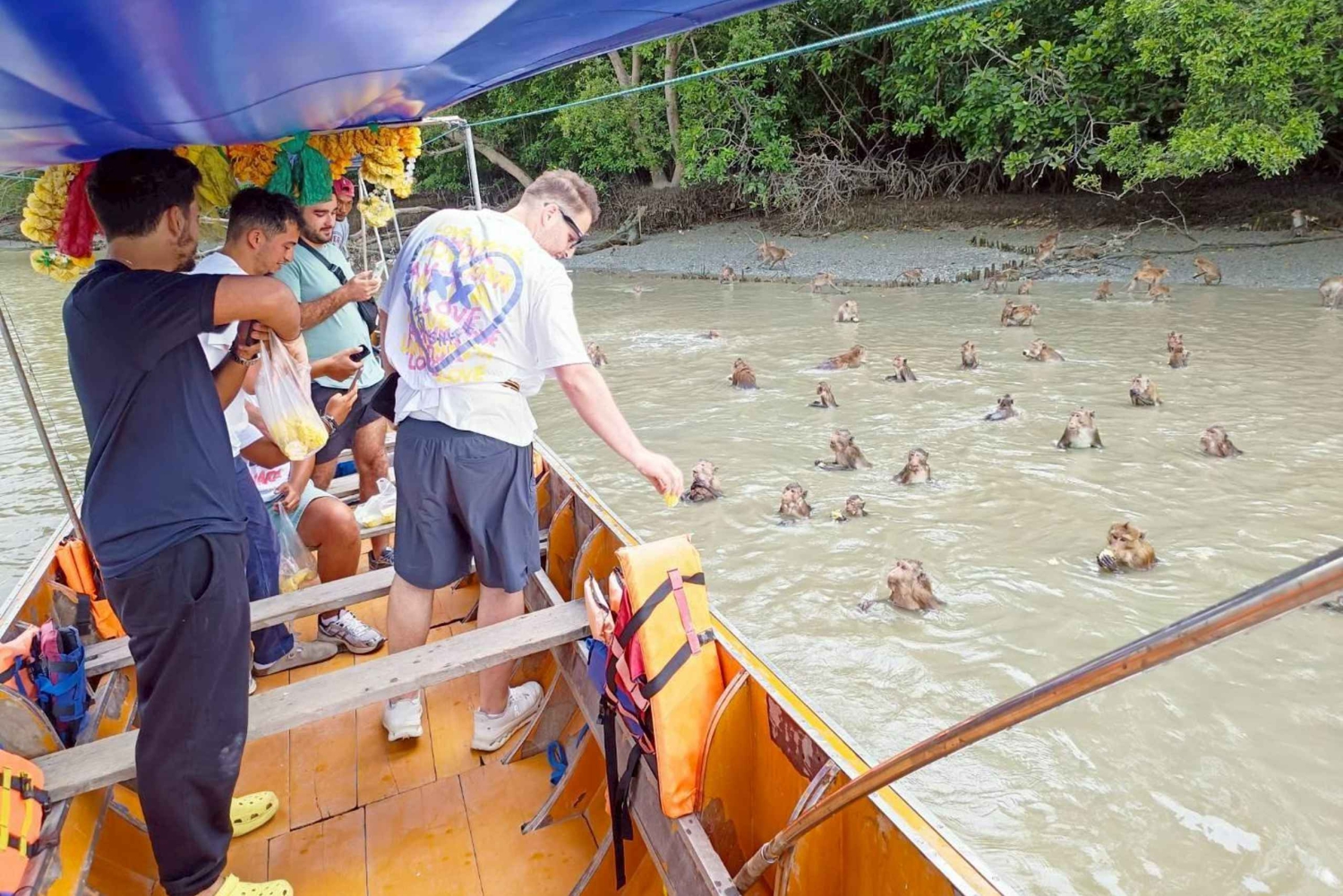 Privat uset mangroveskov og flydende marked og jernbanemarked