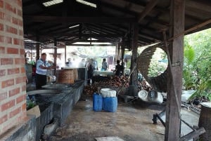 Bosque de manglares privado, mercado flotante y mercado ferroviario