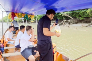 Privat uset mangroveskov og flydende marked og jernbanemarked