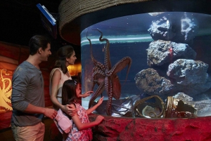 Sea Life + Madame Tussauds Admission Combo - Ticket Only