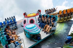 Siam Amazing Park-toegangsbewijs met lunchbuffet (niet-Thais)