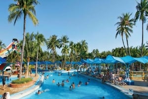 Siam Amazing Park-toegangsbewijs met lunchbuffet (niet-Thais)