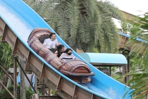 Siam Amazing Park-toegangsbewijs met lunchbuffet (niet-Thais)
