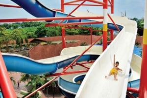 Siam Amazing Park-toegangsbewijs met lunchbuffet (niet-Thais)