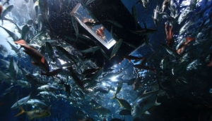 Siam Ocean World