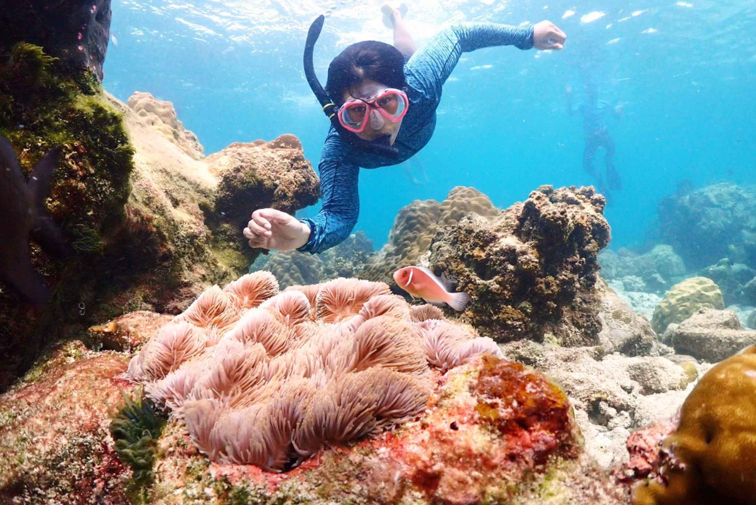 Snorkling som heldagsopplevelse fra Bangkok