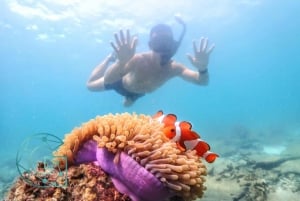 Experiência de dia inteiro de mergulho com snorkel saindo de Bangkok