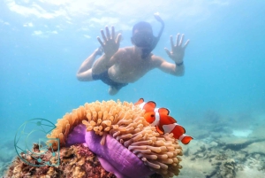 Snorkling som heldagsopplevelse fra Bangkok