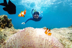 Snorkling som heldagsopplevelse fra Bangkok
